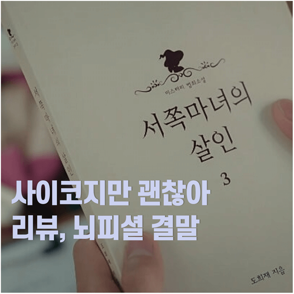 사이코지만 괜찮아 수간호사 범인? 뇌피셜 결말(+강태엄마 죽은 이유)