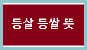 등살 등쌀 뜻