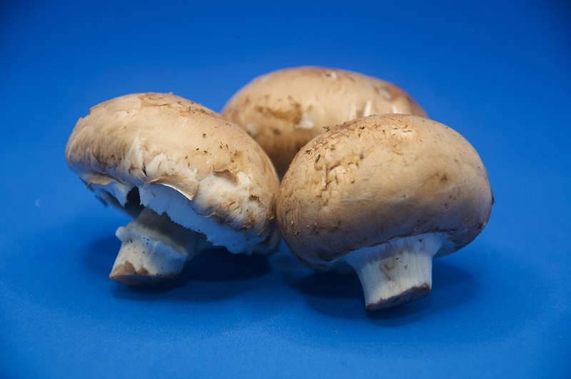 Grilled portobello mushroom with roasted vegetables
