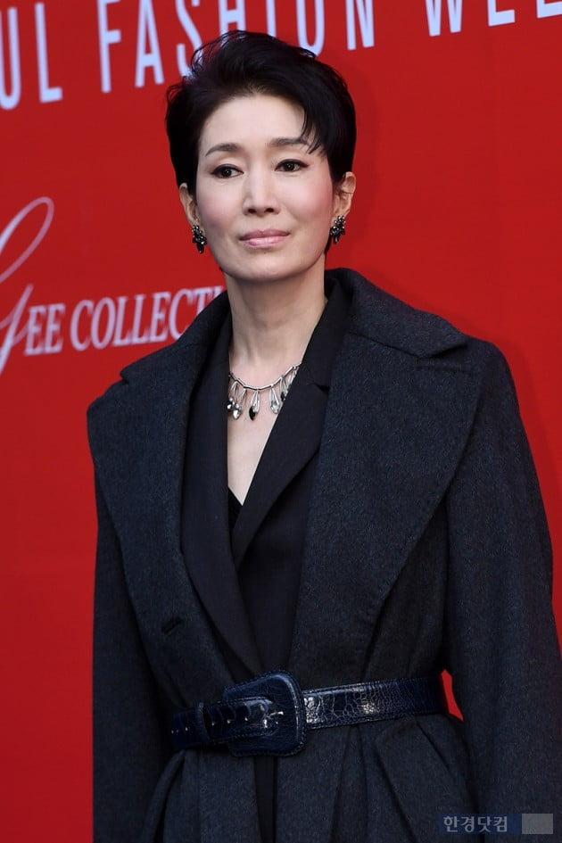 나영희 나이 배우 전남편 이혼 재혼 결혼 자녀 가족 고향 리즈 프로필