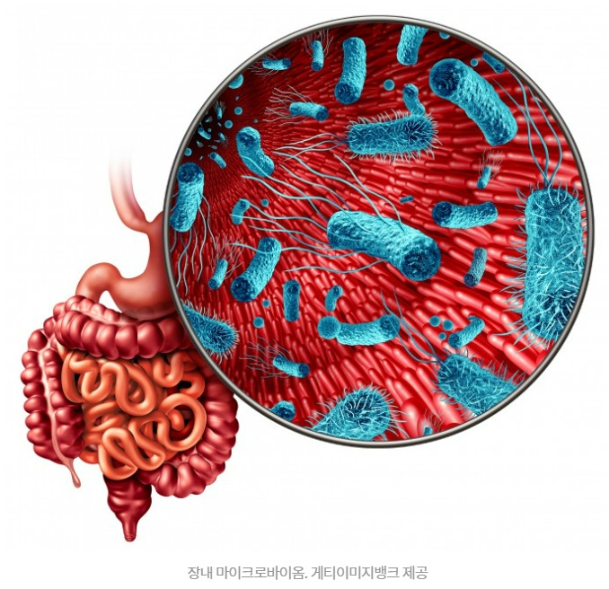 물을 마셔야 이유...바로 이것 때문