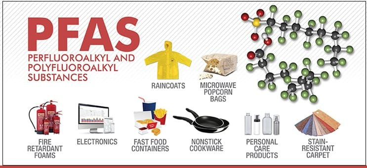 영원한 화학 물질(PFAS)