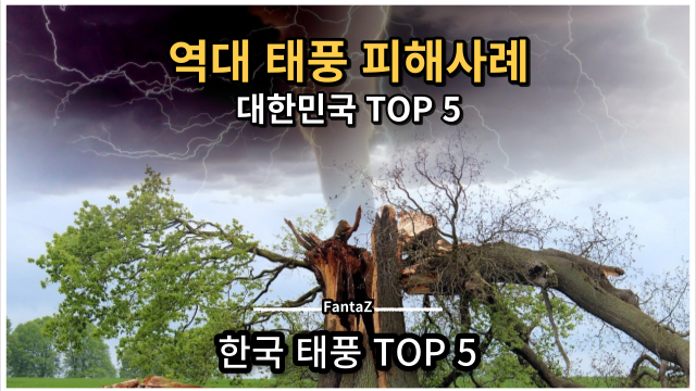 한국을 강타한 역대 태풍 피해 사례 Top 5