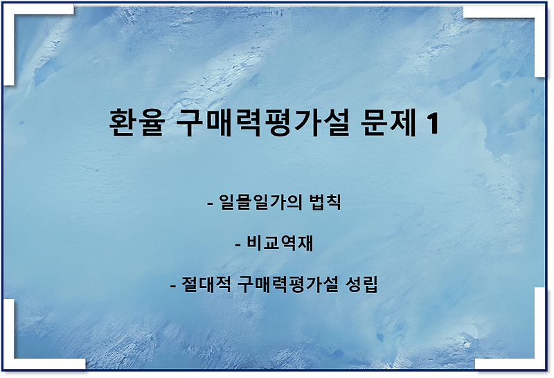 환율 구매력평가설(PPP) 문제1
