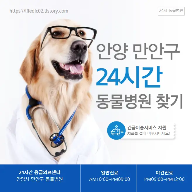안양 만안구 24시간 동물병원 근처 야간 일요일 강아지 병원 찾기