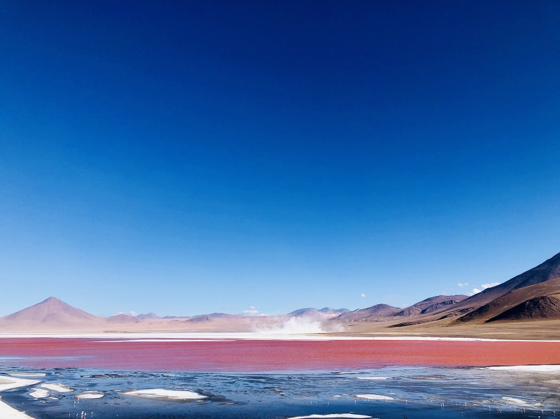 우유니 2박3일 투어 - 2일차 2편 붉은 호수, 온다 호수, 실로리 사막, 돌 나무, 콜로라다 호수