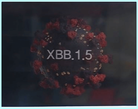 백신 무력화, 전파력 최강 XBB.1.5 크라켄 변이 정체