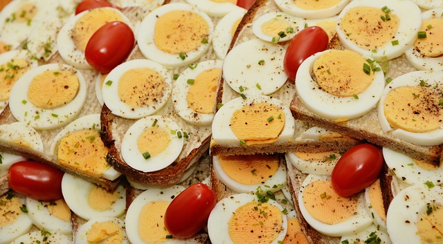 계란의 단백질 함량과 맞춤형 영양 섭취