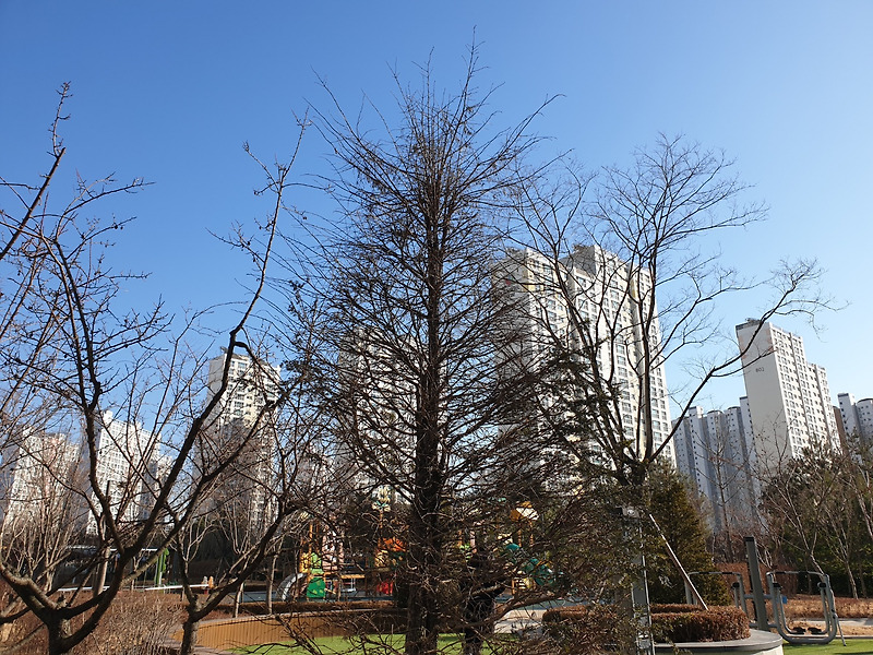 2020년 청약 경쟁률(전국 통계, 최고치)