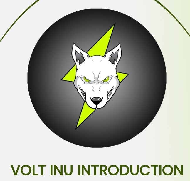 Volt Inu($VOLT) 에어드랍 105,000,000(NFT, P2E, 하이퍼 디플레이션 토큰) 코인마켓캡, 코인게코 기상장!!