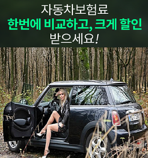 실시간으로 알아보는 내자동차보험료조회