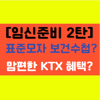 [임신 준비 2탄] 표준모자 보건수첩 및 맘편한 KTX 혜택 알아보기!