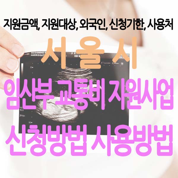 서울시 임산부 교통비 지원사업 지원금액, 신청기한, 신청방법