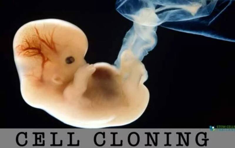 인간 복제 이미 시작? VIDEO: Human reproductive cloning