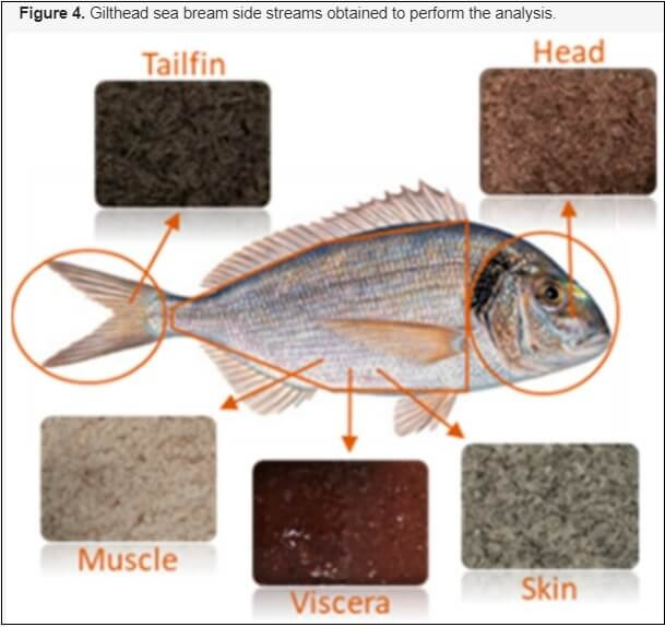 생선 먹고  버리는  부위...신선도 10배 연장시켜준다  Special dipping solution can significantly extend the shelf life of “side streams”