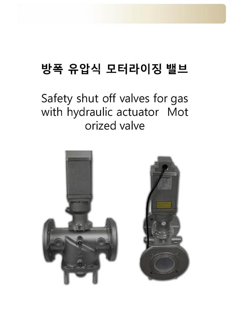 Elektro Gas 방폭 유압식 모터라이징 밸브 HS-VMH..EX