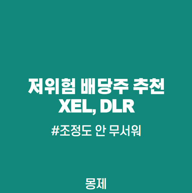 배당주 추천 2가지(XEL, DLR)- 조정시 리스크 낮은 주식