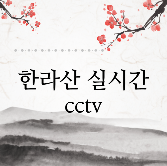 한라산 실시간 cctv (국립공원)