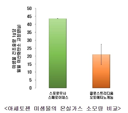 한국형 자생 아세토젠, 해외 상업 미생물보다 분해 능력 두 배 이상 높아