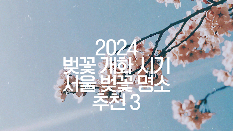 2024 벚꽃 개화 시기 서울 벚꽃 명소 추천