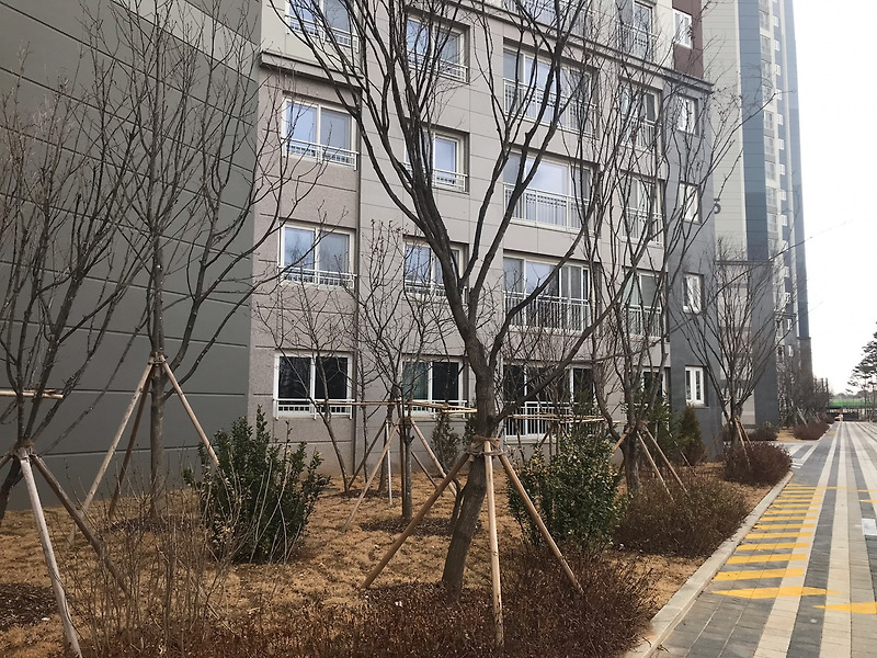 3기신도시 지정 취소 청원 7만명인데 될까? 개인적인 의견!