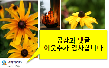 주택가 이면도로라도 교통방해 된다면 불법 주·정차 단속해야_국민권익위원회
