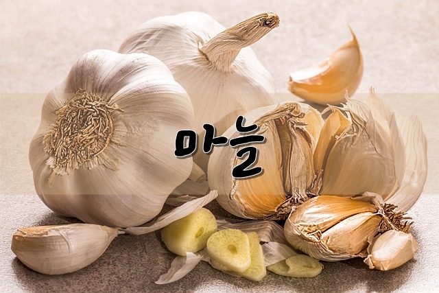 한국인의 소울푸드 마늘에 대해서 알아봅시다!