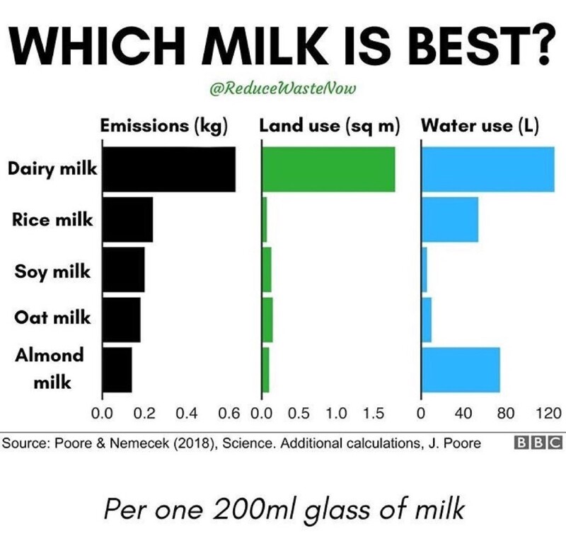 환경과 건강을 위한 선택, 우유? 유리병? 페트병? 테트라팩? 고민하신다면
