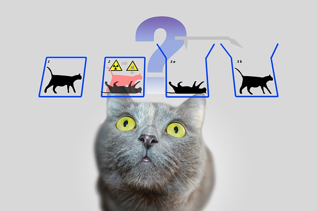 신비로운 세계, 양자역학: 흥미진진한 슈뢰딩거의 고양이로 시작하는 쉽고 재미있는 양자역학 가이드!