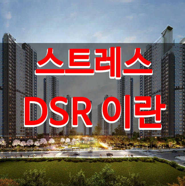 스트레스 DSR이란