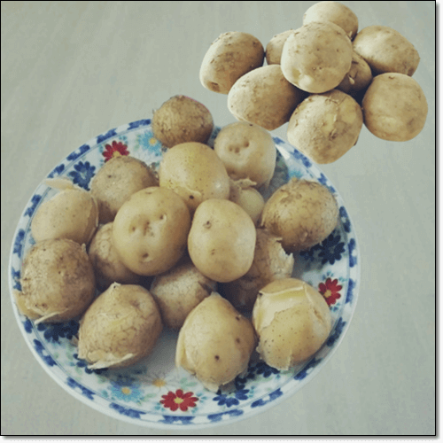 찐 감자 효능 및 찌는 법 하루 권장 섭취량
