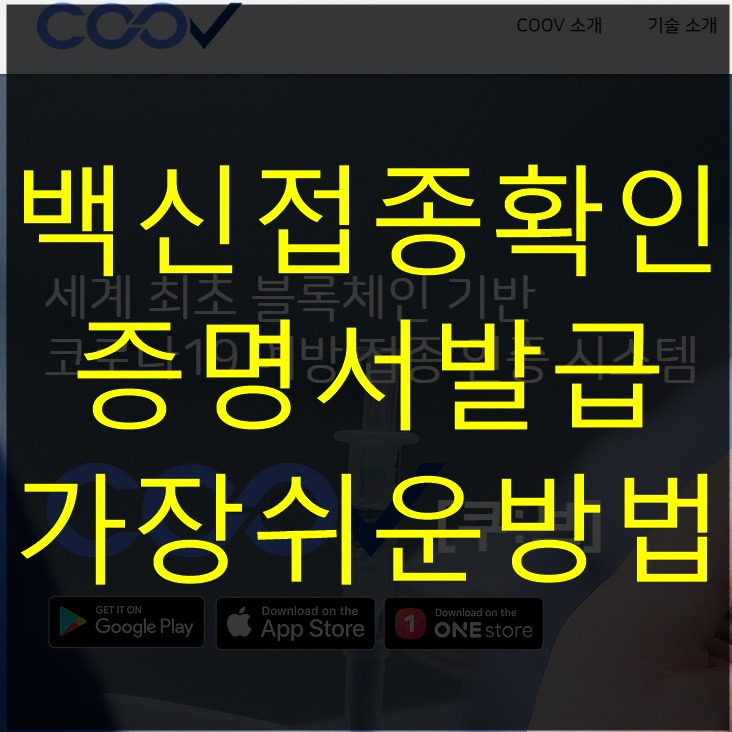 코로나 예방접종 증명서 발급 :: 백신 접종 확인 방법 알아보기
