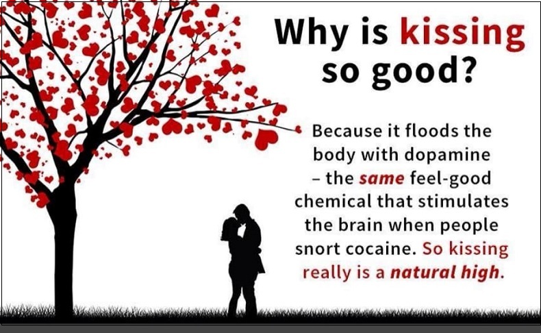 키스가 건강에 좋은 16가지 이유 16 Reasons to Smooch: How Kissing Benefits Your Health
