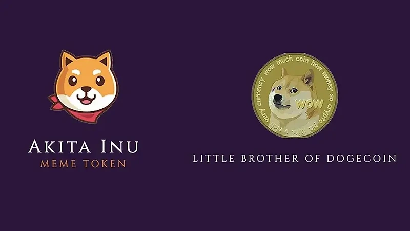 폭등한 도지코인 킬러 둘 Doge coin killers