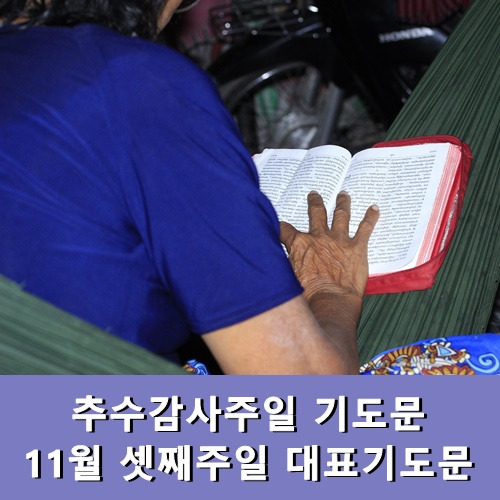 추수감사주일 기도문 11월 셋째주일 대표기도문