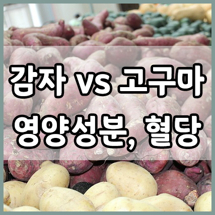 고구마와 감자 : 영양성분과 혈당에 미치는 차이