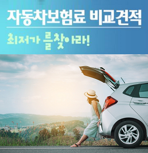 이달의 최저가보험료 자동차보험료1년 자동차보험료조회 완료!!