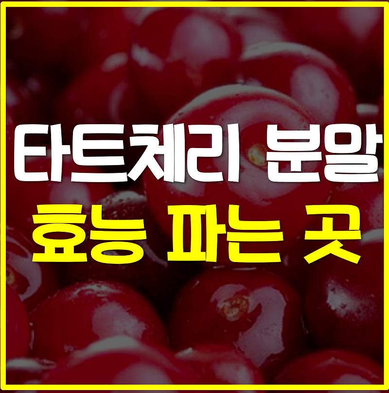 타트체리 분말파는곳 추천