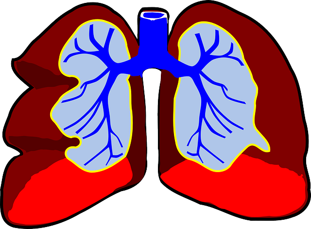 폐부종 (Pulmonary Edema) : 폐부종의 원인과 증상, 심장성 폐부종, 급성 폐부종, 호흡곤란 폐부종