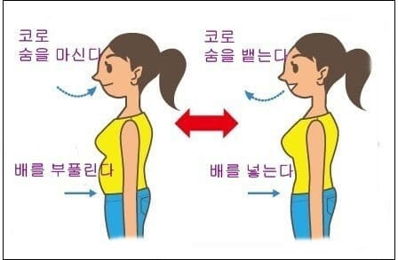 복식 호흡(Abdominal breathing)이 몸에 좋은 이유