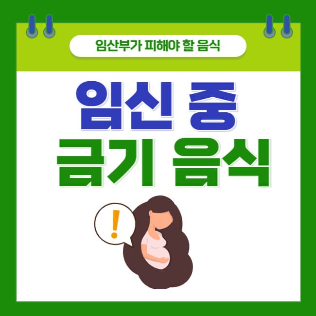임산부가 피해야 할 음식(feat. 임신 중 금기 음식)