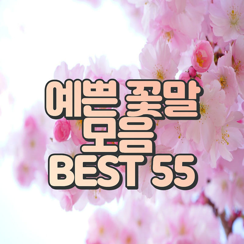 꽃말 모음 BEST 55(예쁜 꽃말, 슬픈 꽃말, 사랑 꽃말 등)