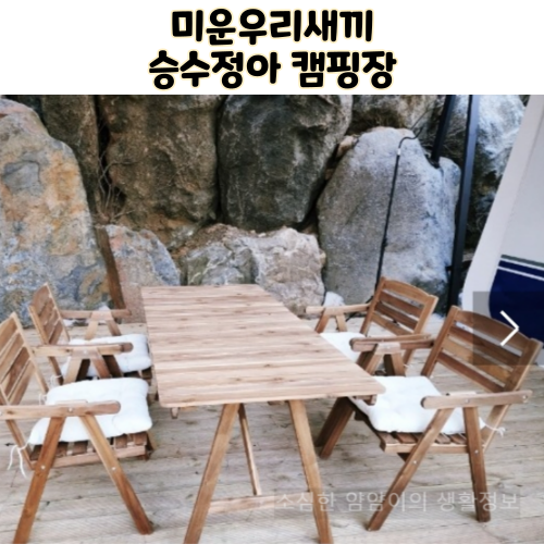 미운우리새끼 미우새 김승수 양정아 캠핑장 썸