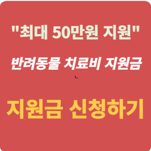 최대 50만원 지원하는 반려동물 치료비 혜택