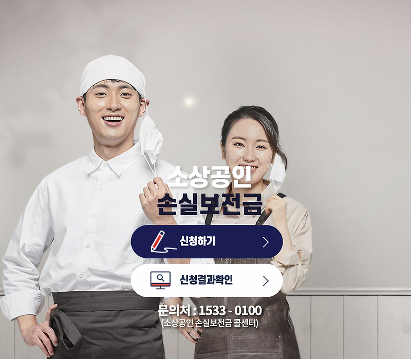 손실보전금 다수사업자 2개