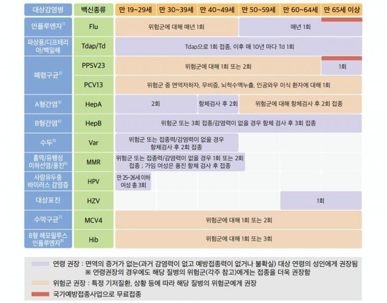 성인 예방접종 일정표