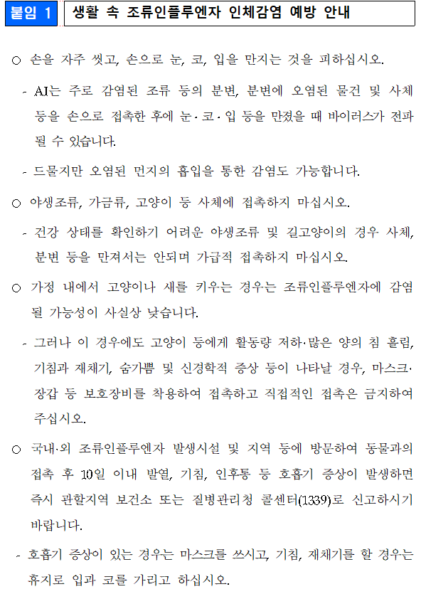 서울 용산구 고양이, 조류인플루엔자 확진