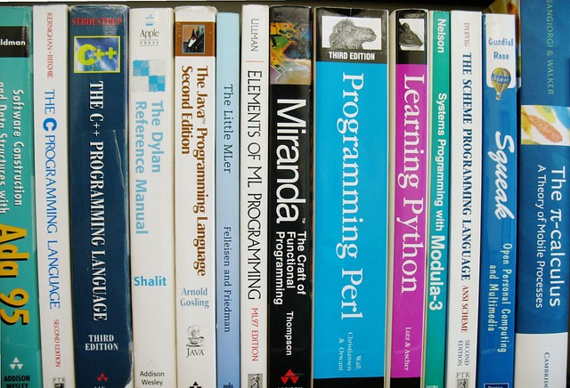 최신 프로그래밍 언어 및 프레임워크 소개: 현대 소프트웨어 개발의 핵심