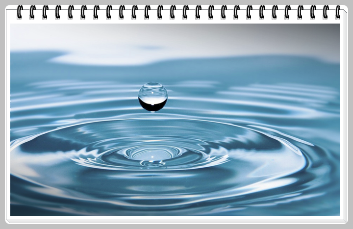 세계 물의 날은 매년 3월 22일입니다. 물 절약방법 알아볼까요?