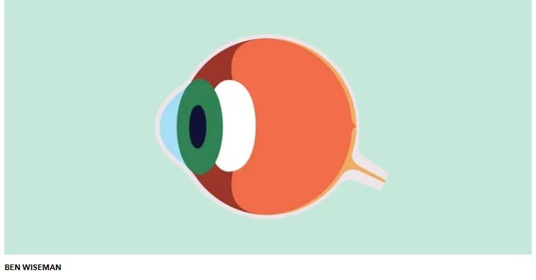평생 좋은 시력을 위한  눈 건강 팁 The Best Eye Health Tips for a Lifetime of Sharp Vision